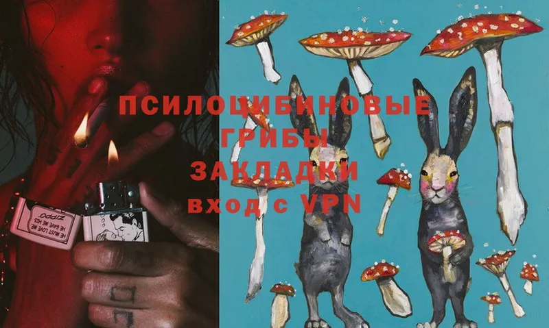 Галлюциногенные грибы Magic Shrooms  Миллерово 